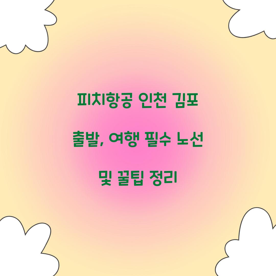 피치항공 인천 김포