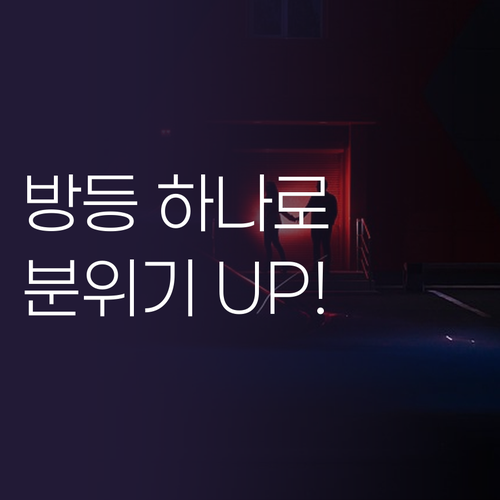 방등 하나로 분위기 UP! 홈플래닛 ..