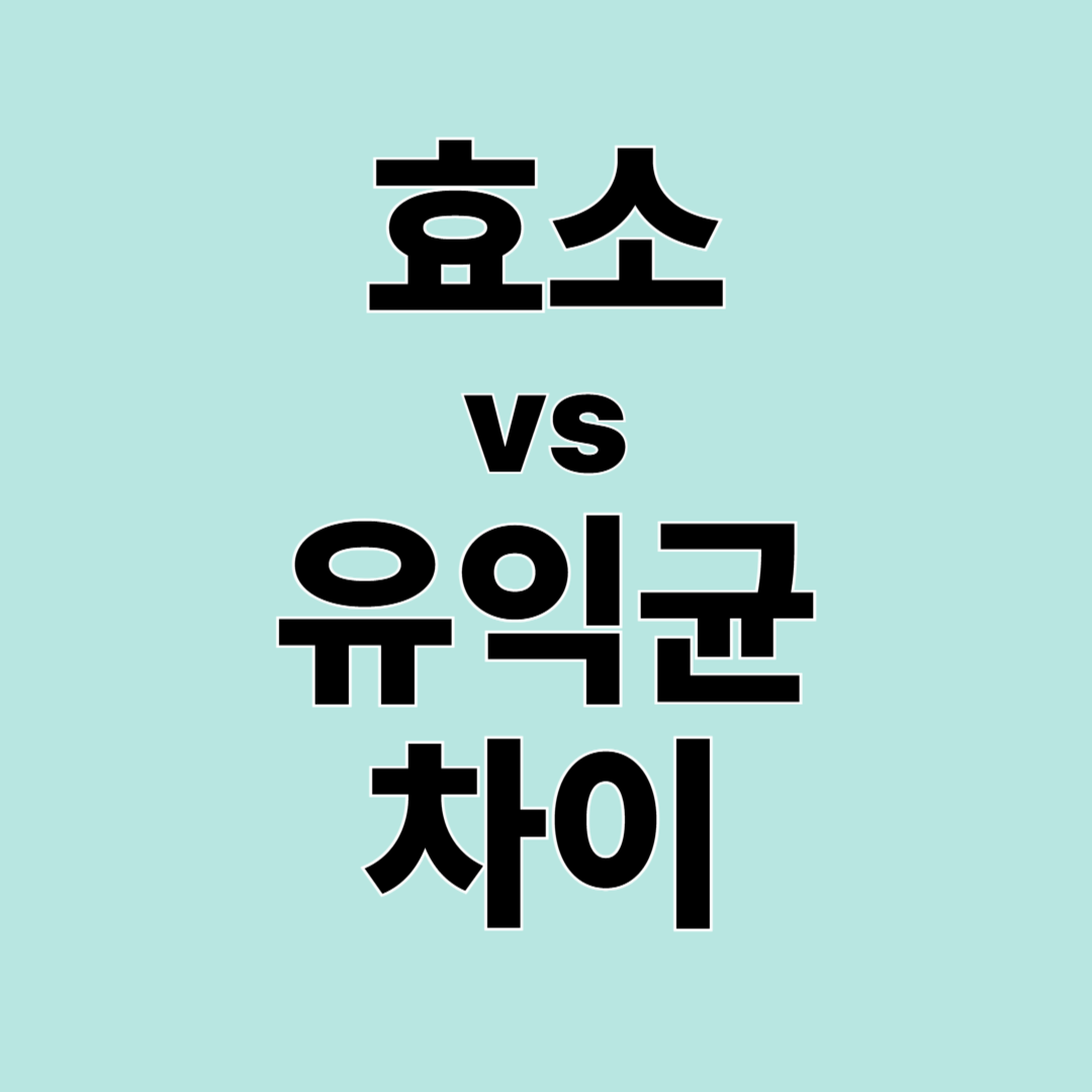 효소 vs 유익균 차이 – 무엇을 먹어야 할까 쉽게 정리