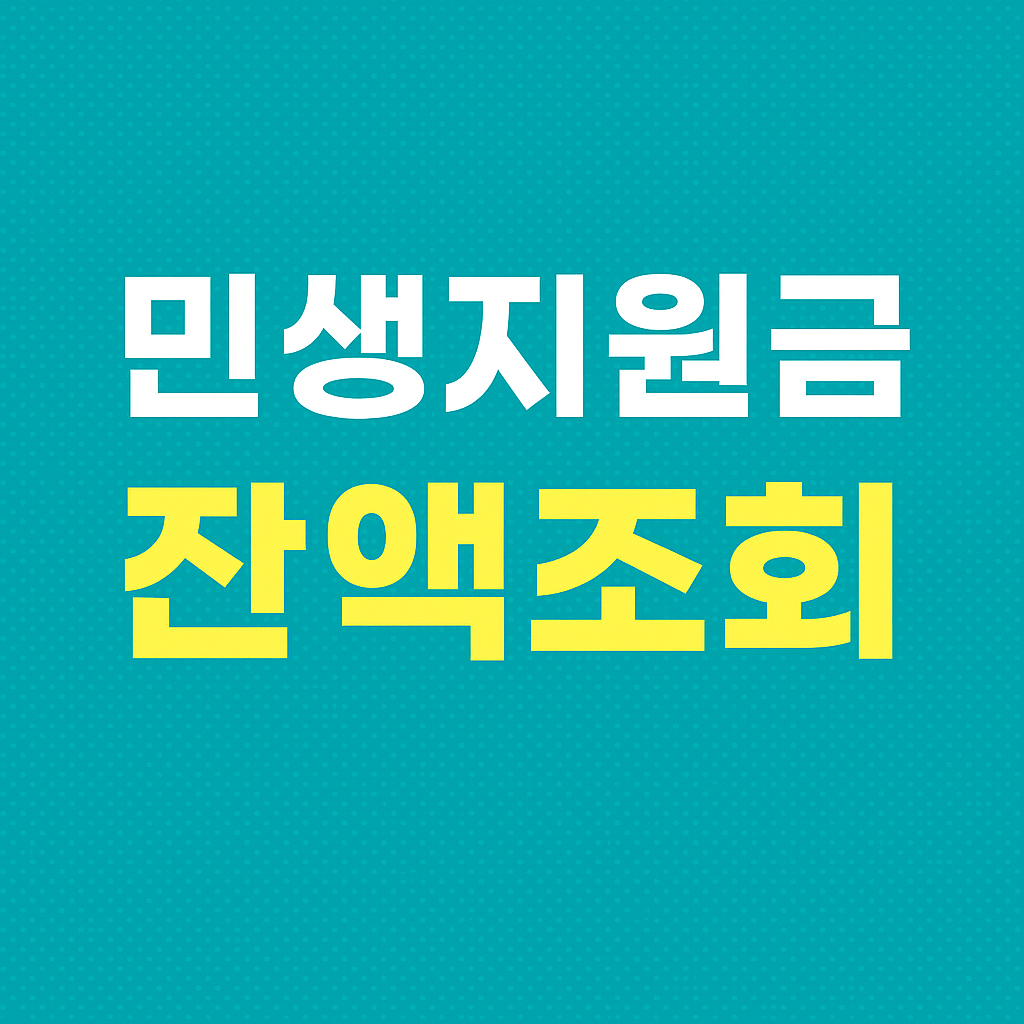 민생지원금 잔액 조회 금액확인 2025년