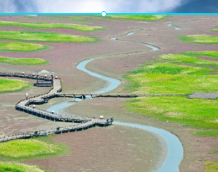 전남 신안 도초도 수국축제