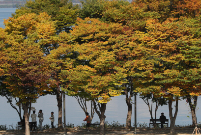 호수와 단풍이 만나는 순간 : 전국 가을 포토 명소 총정리_공지천 호수공원