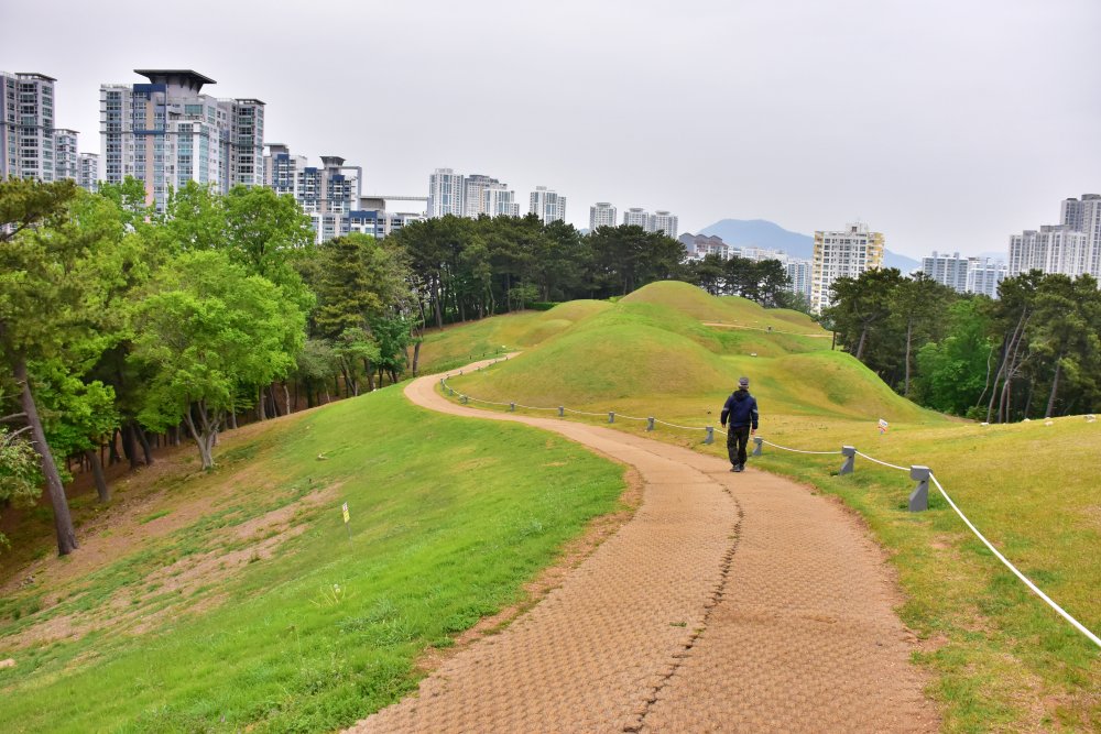연산동 고분군 모습 2023년 4월
