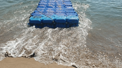 울산 진하해수욕장 5