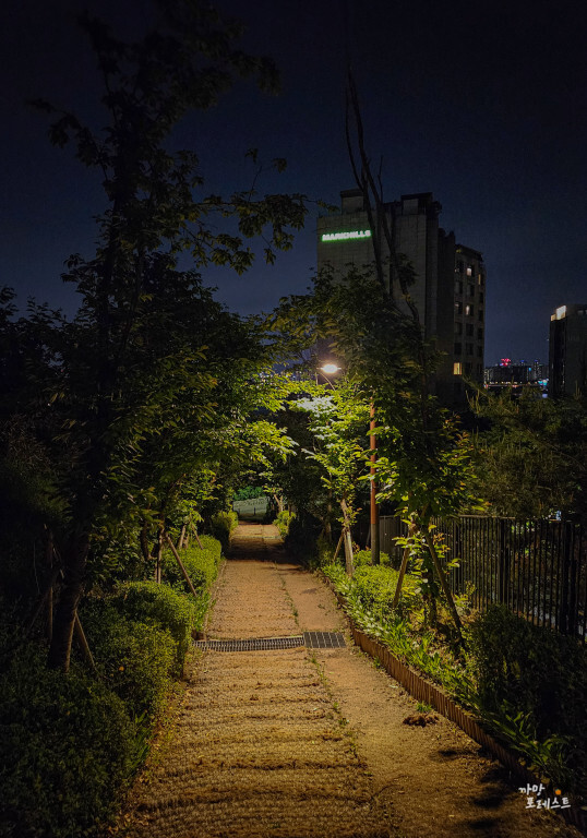 용양봉저정공원 효사정 가는길