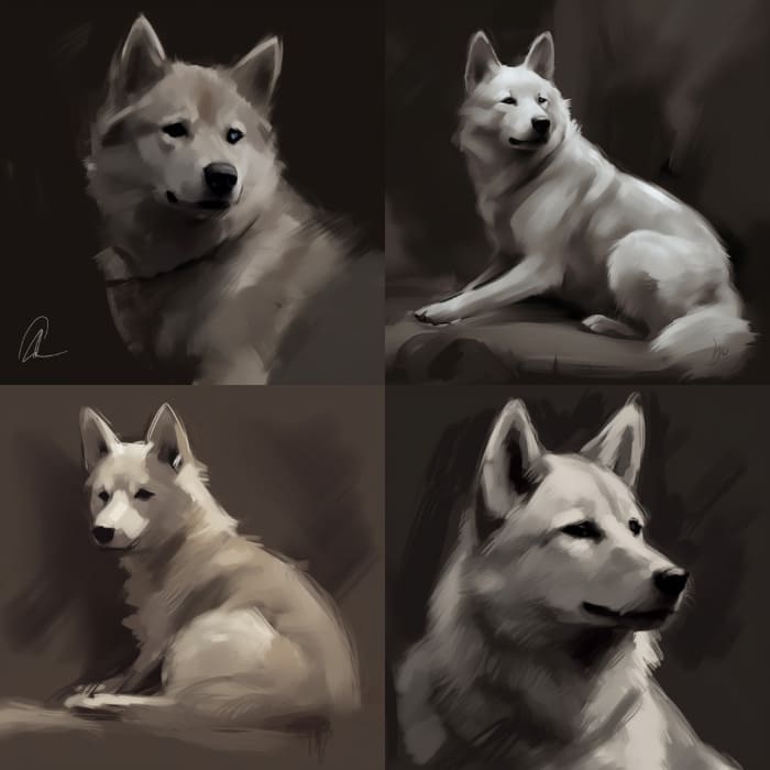 Value study sketch of a jindo_dog'
