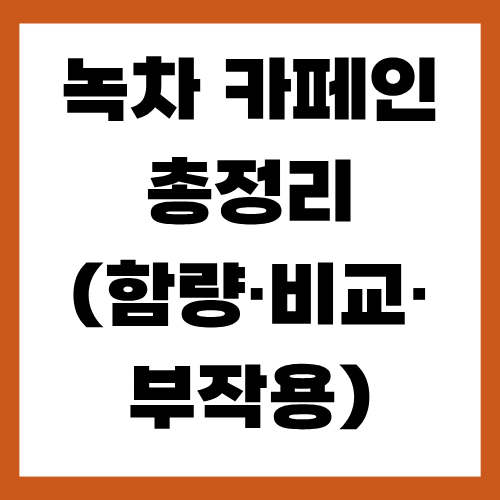 녹차 카페인 총정리 (함량·비교·부작용 등)