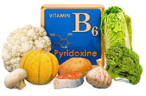 비타민 B6의 기능
