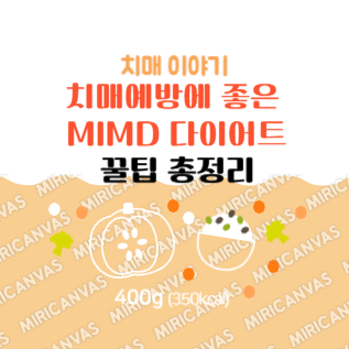치매 예방에 탁월하 MIND 다이어트 꿀팁 로고