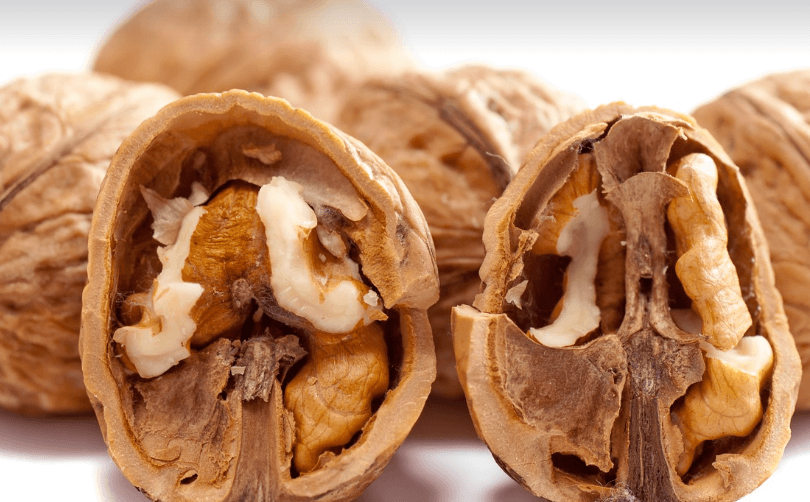 폐에 좋은 음식