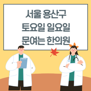 서울 용산구 토요일 일요일 한의원 진료 병원 리스트