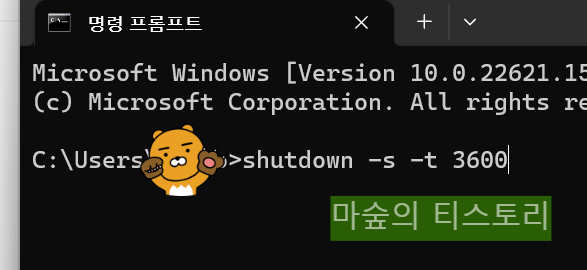 자동 전원 OFF 끄기