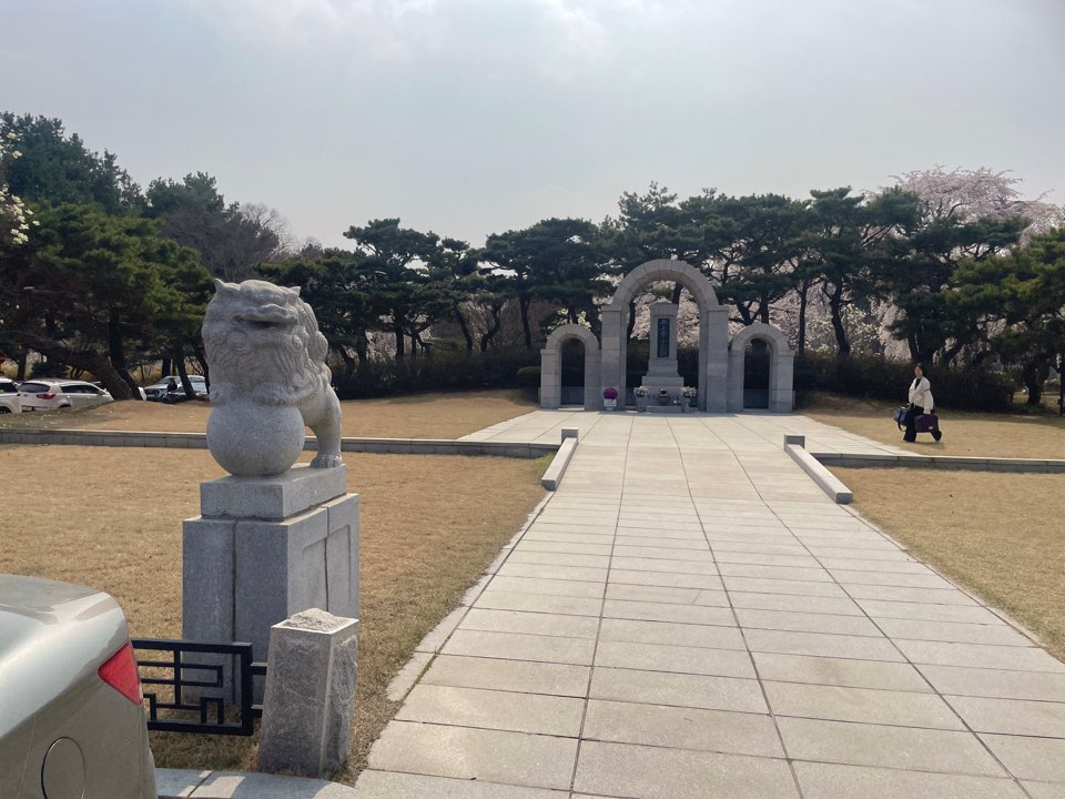 벚꽃