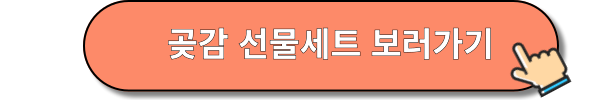 상주곶감선물세트