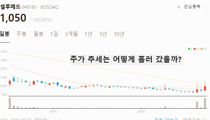 ASCO 관련주 대장주 테마주 수혜주 TOP5