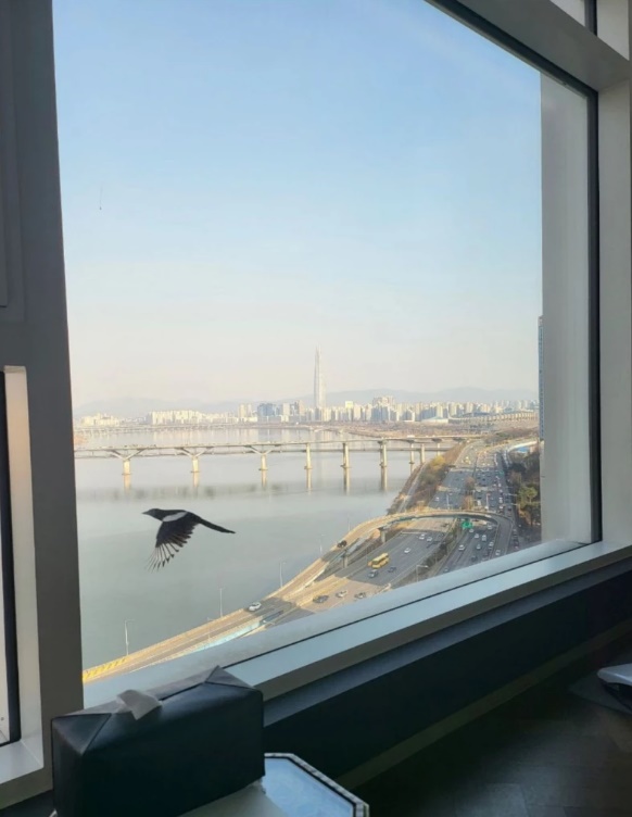 고소영 장동건 집 펜트하우스 청담