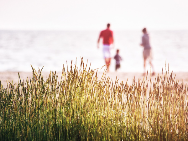 직장생활 직장인 가족이 아프면