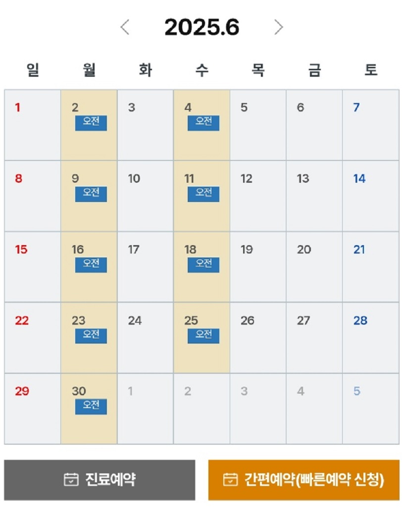 김진-교수-진료일정