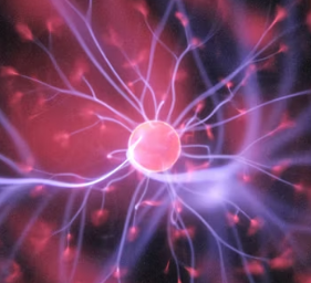 치매 진단 방법 치료 예방 가이드