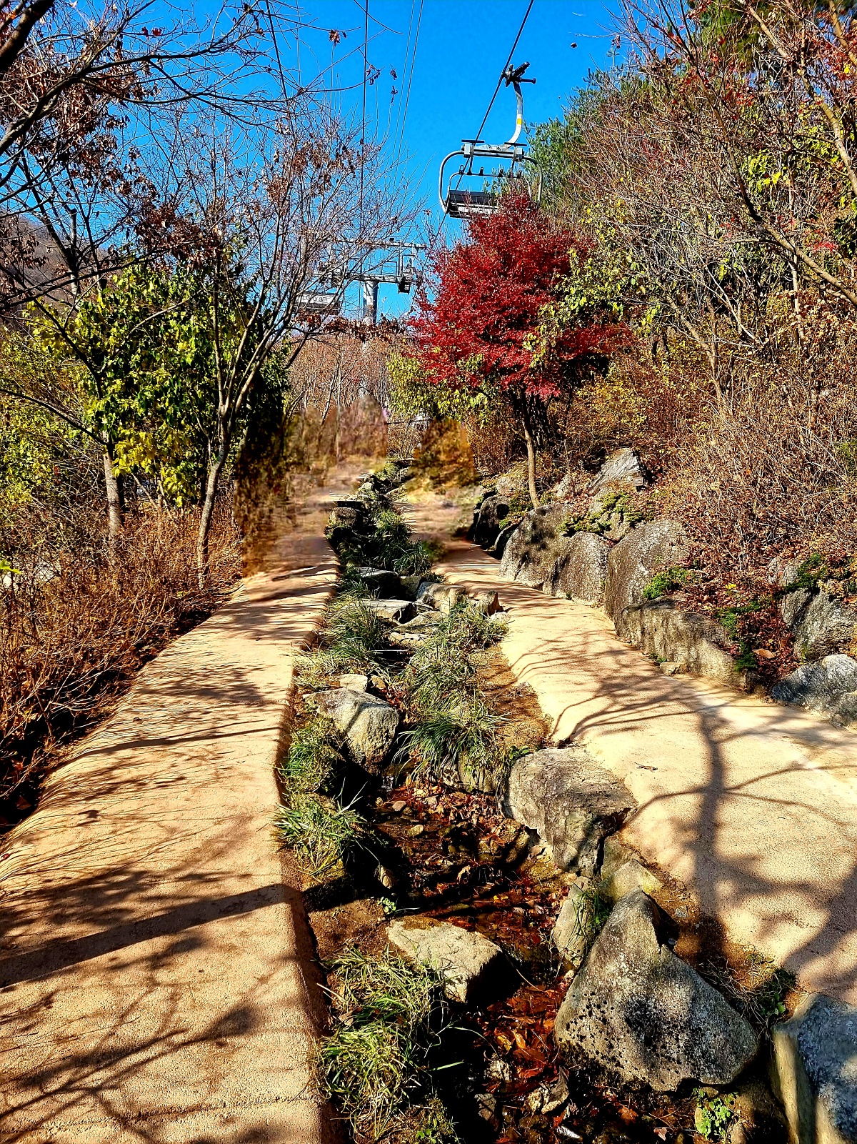 2024 경기도 광주 곤지암 화담숲 예약: 단풍 시기, 모노레일 장단점, 이용 팁