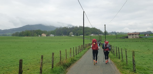 Camino de Santiago 산티아고 순례길