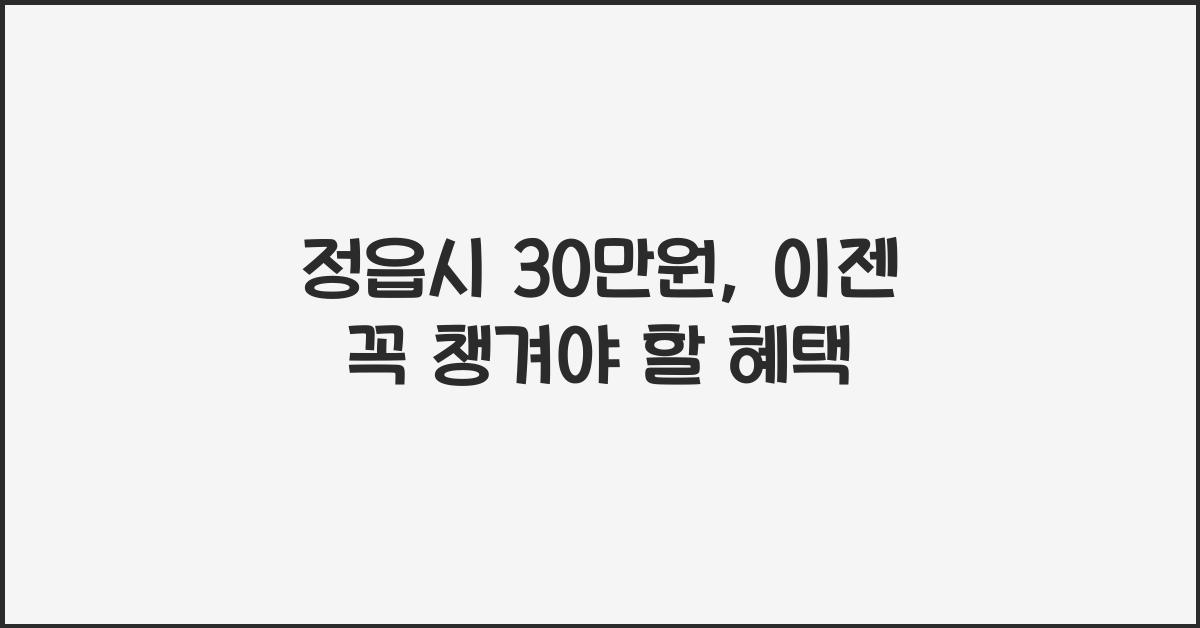 정읍시 30만원