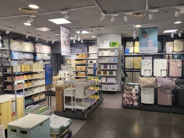 모던하우스-캐리어-보관용품