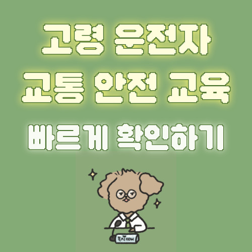 고령 운전자 교통안전 교육