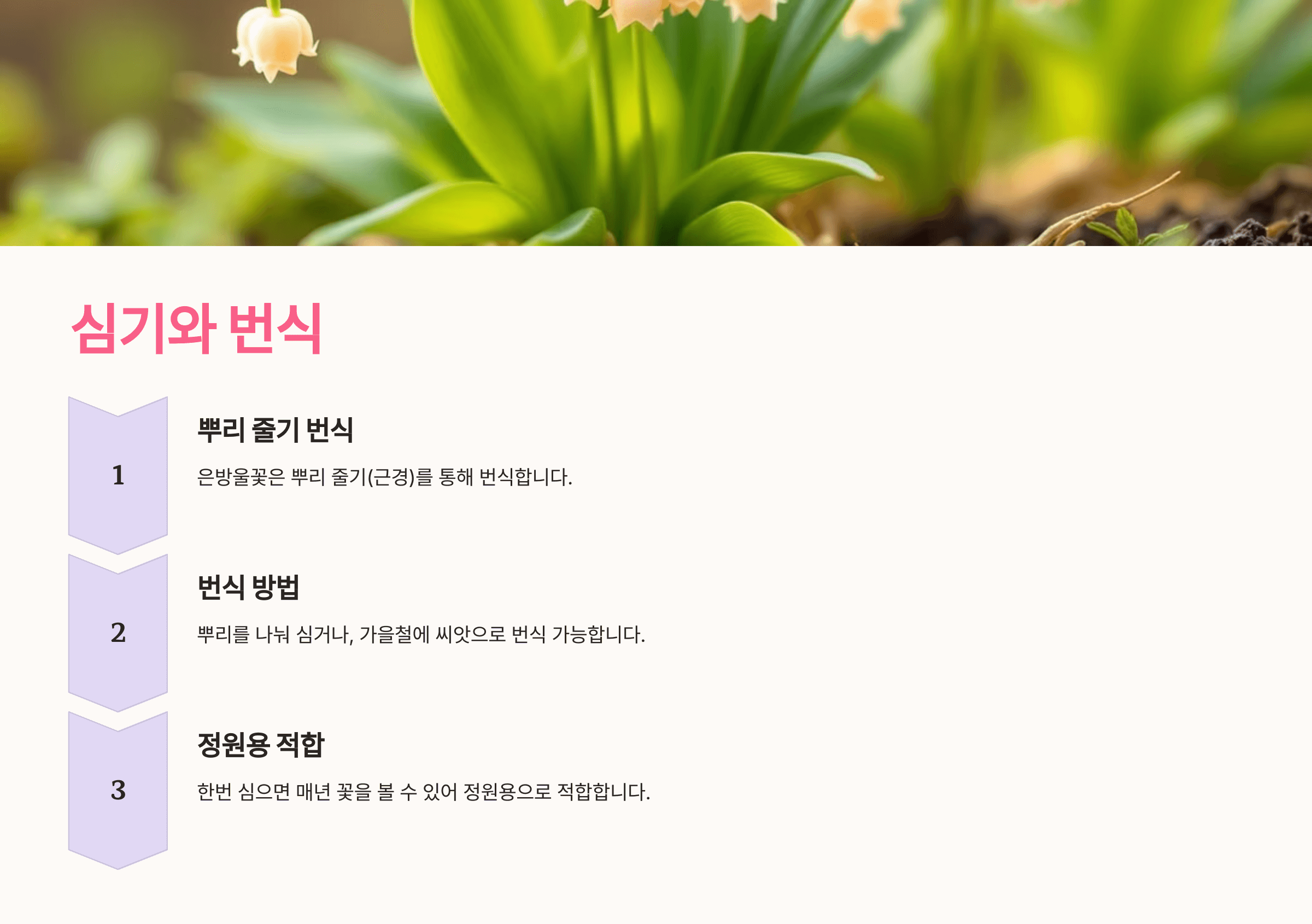 은방울꽃 사진입니다.