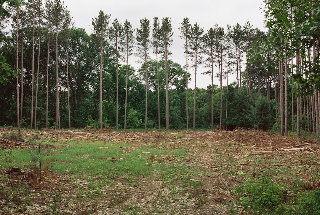 land