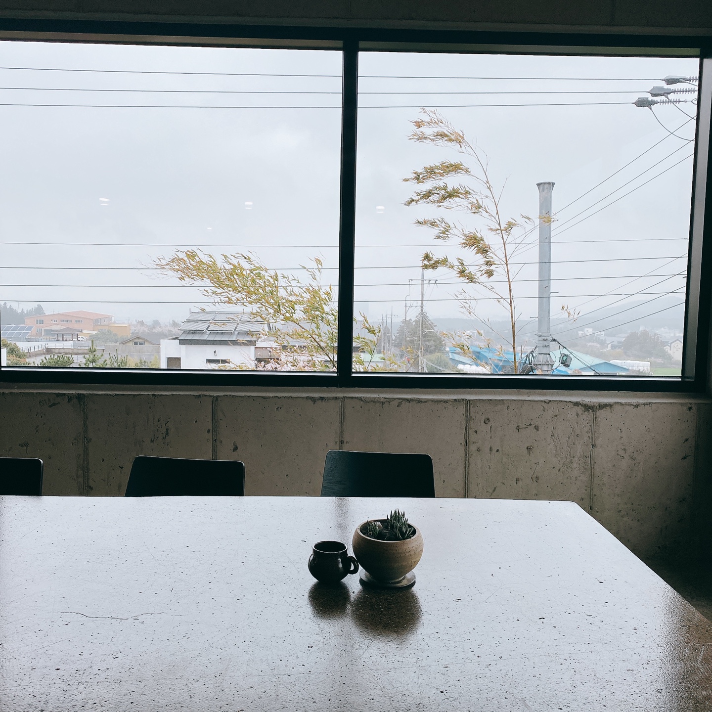 제주 신비마을 도깨비도로 벚꽃명소 레크레 카페