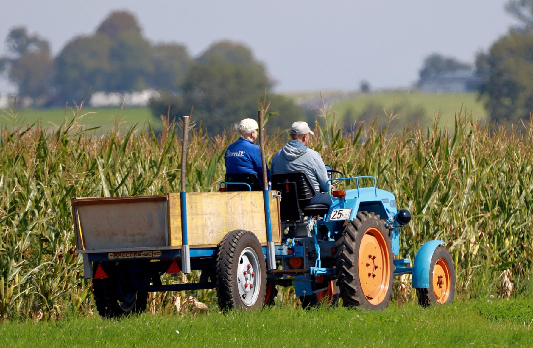 농촌에서 탄생하는 새로운 직업군