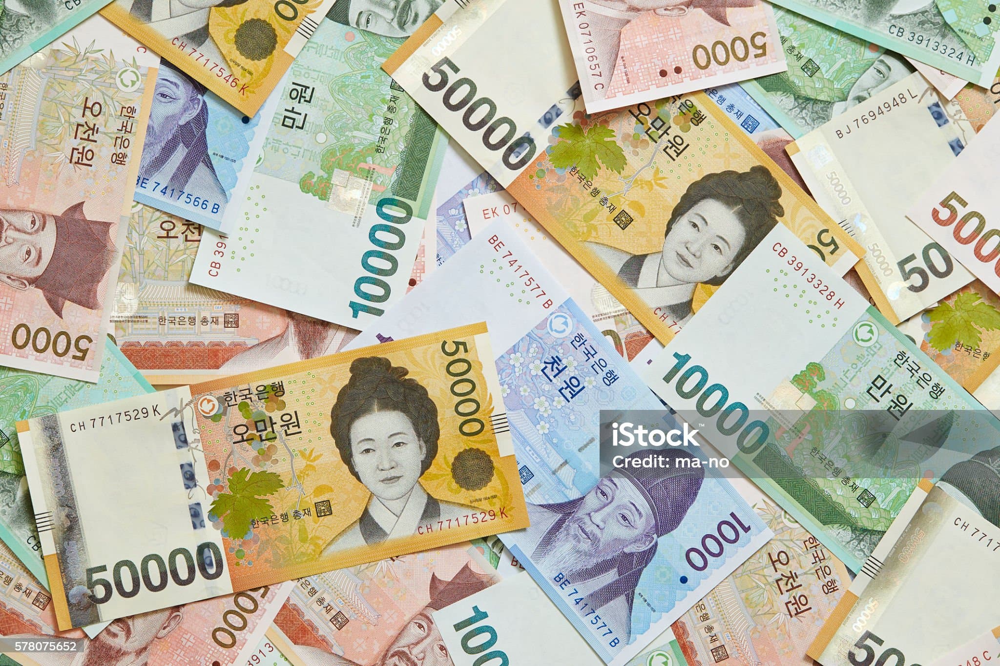 직장인 vs 자영업자 세금 구조 비교