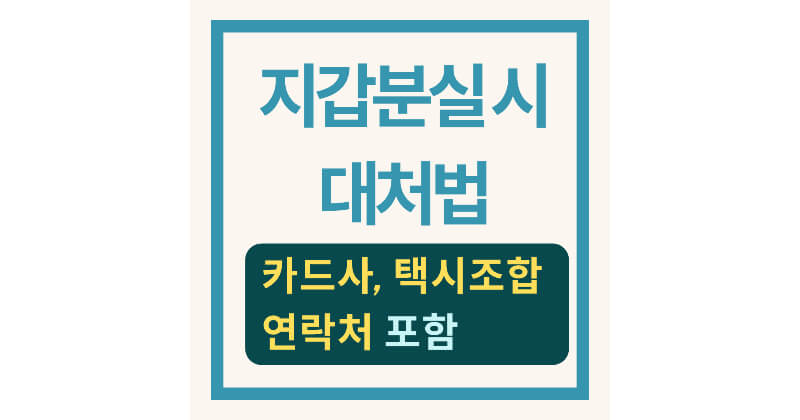 지갑 분실 대처법 지금 확인하세요|분실 신고·예방까지