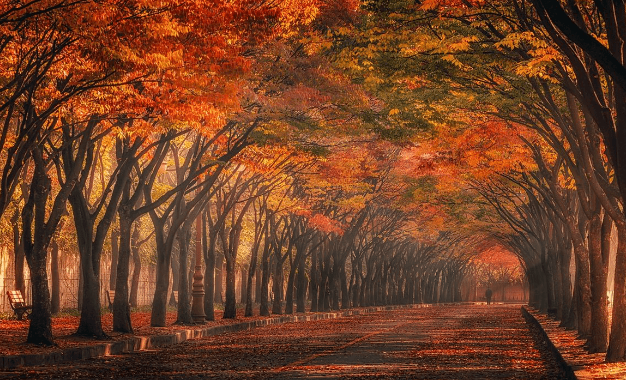 숙박세일페스타