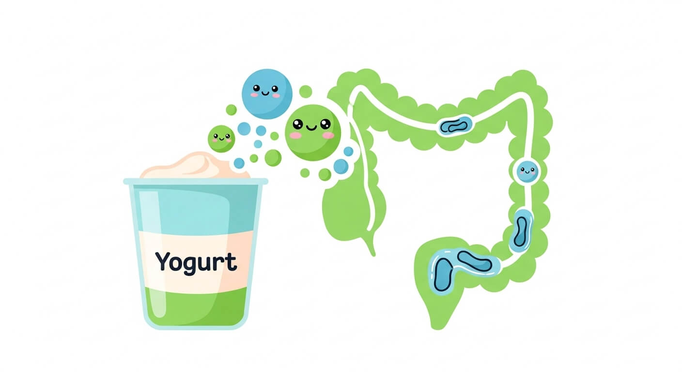 유산균: 장 건강과 면역력의 열쇠