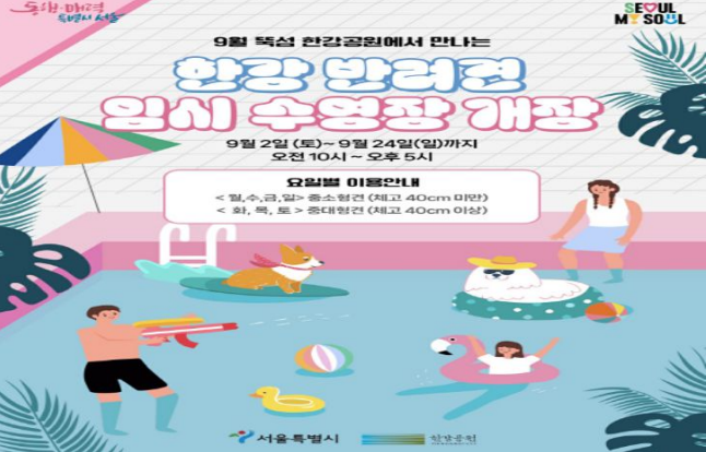 서울뚝섬한강공원 반려견수영장 개장
