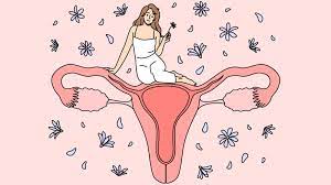 여성의 생식건강부터 일반적인 여성 건강 문제