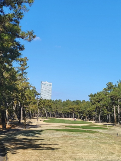 미야쟈키 톰왓슨c.c 전경사진