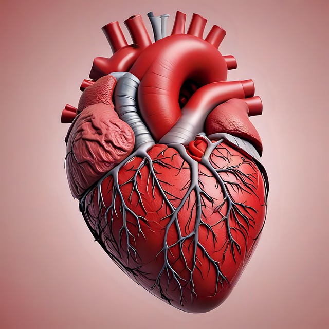 심장 판막의 유체역학: 인공심장과 혈류 제어 장치 개발