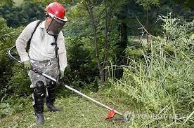 벌초대행 가격비교