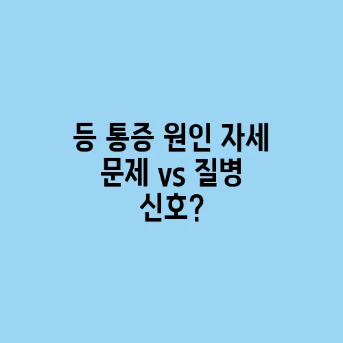 등 통증 원인 자세 문제 vs 질병 신호?