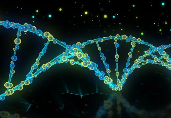 3D 바이오프린팅을 이용한 맞춤형 장기 제작