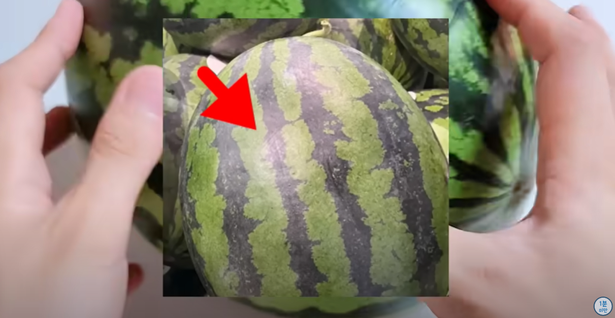 하얀 가루가 묻어 있는 수박
