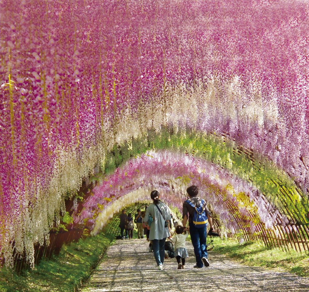 후쿠오카 자유여행 코스 추천 현지인 추천 후쿠오카 명소 여행