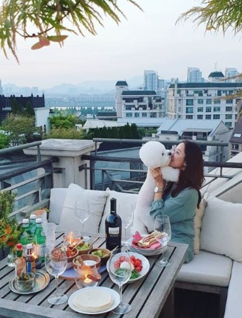 배우이자 인플루언서로 활약하는 기은세의 프로필, 학력, 결혼과 이혼, SNS 활동과 최근 소식까지 종합 정리한 글입니다.