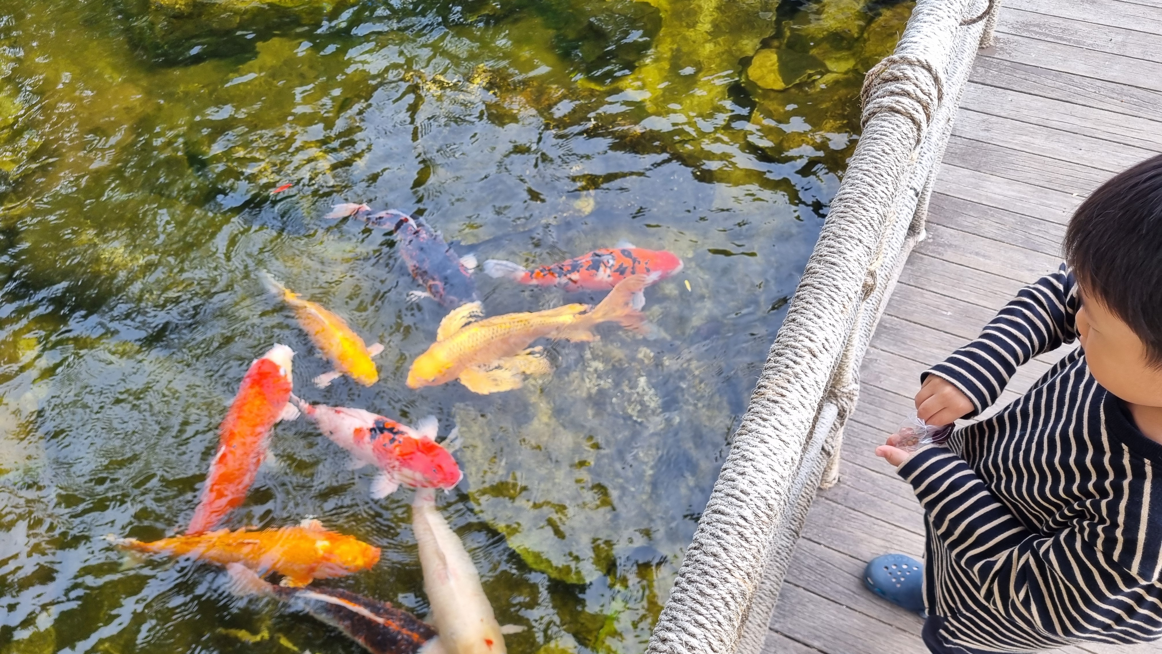 제주 신라호텔