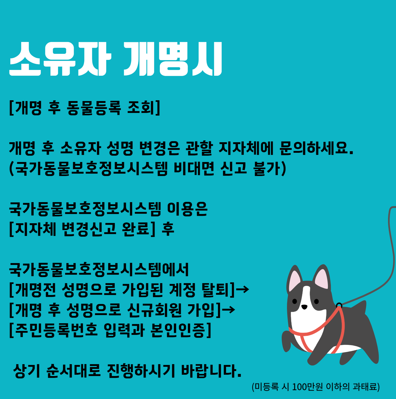 애견 등록