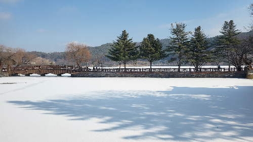 충주여행 의림지