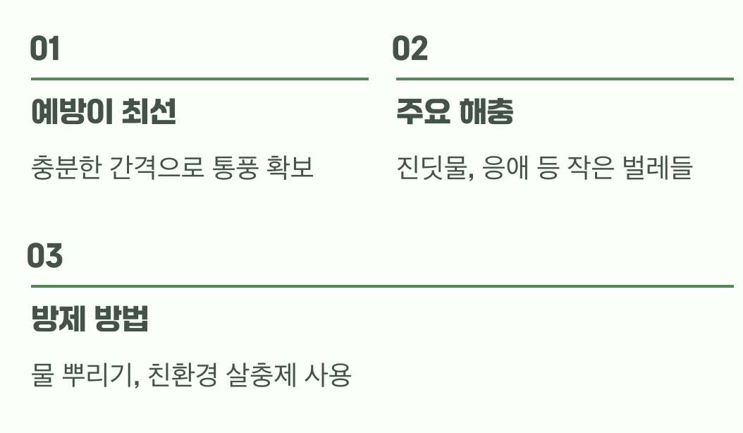 우리 집 아마란스를 위협하는 불청객